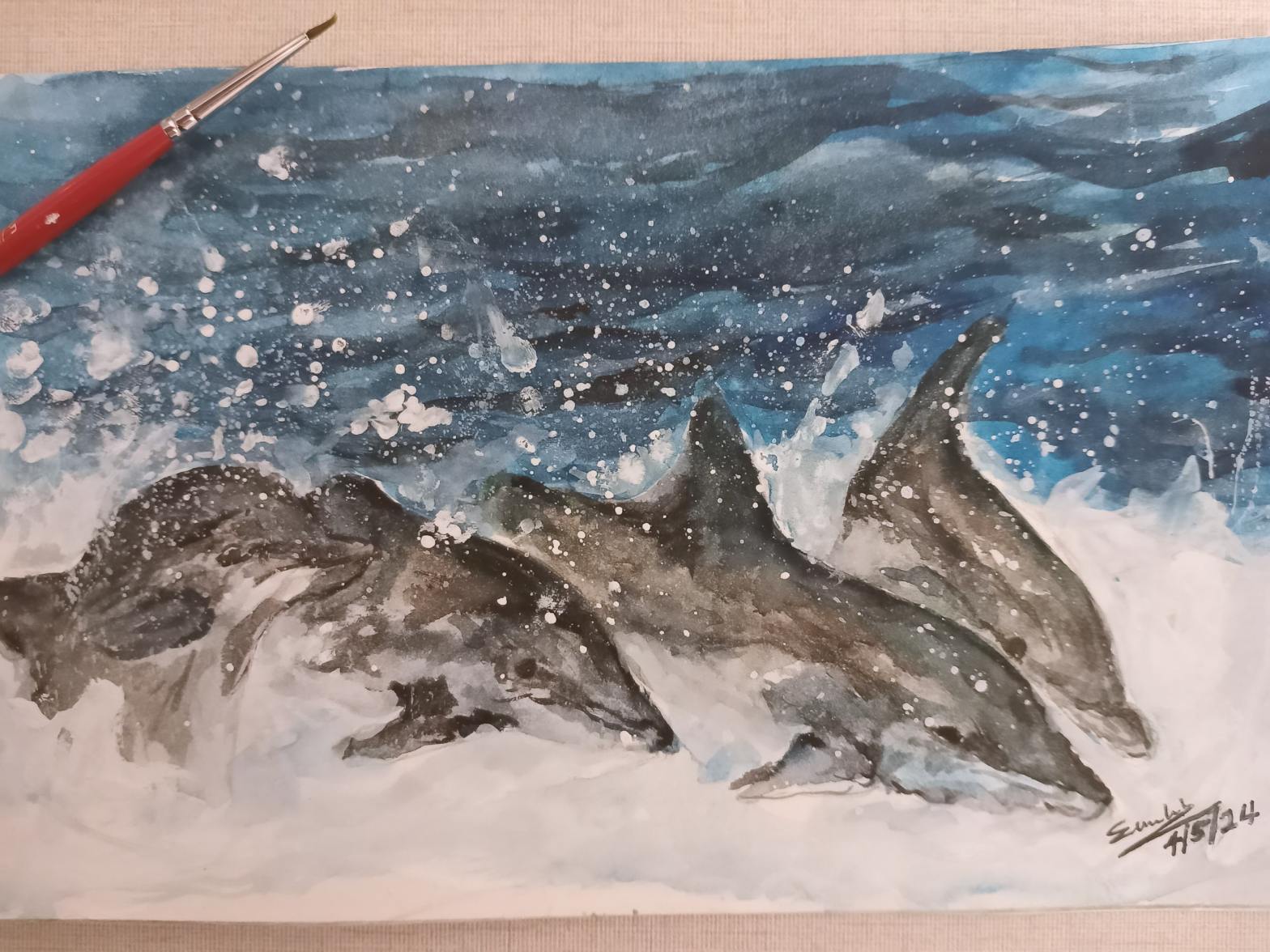 four dolphins