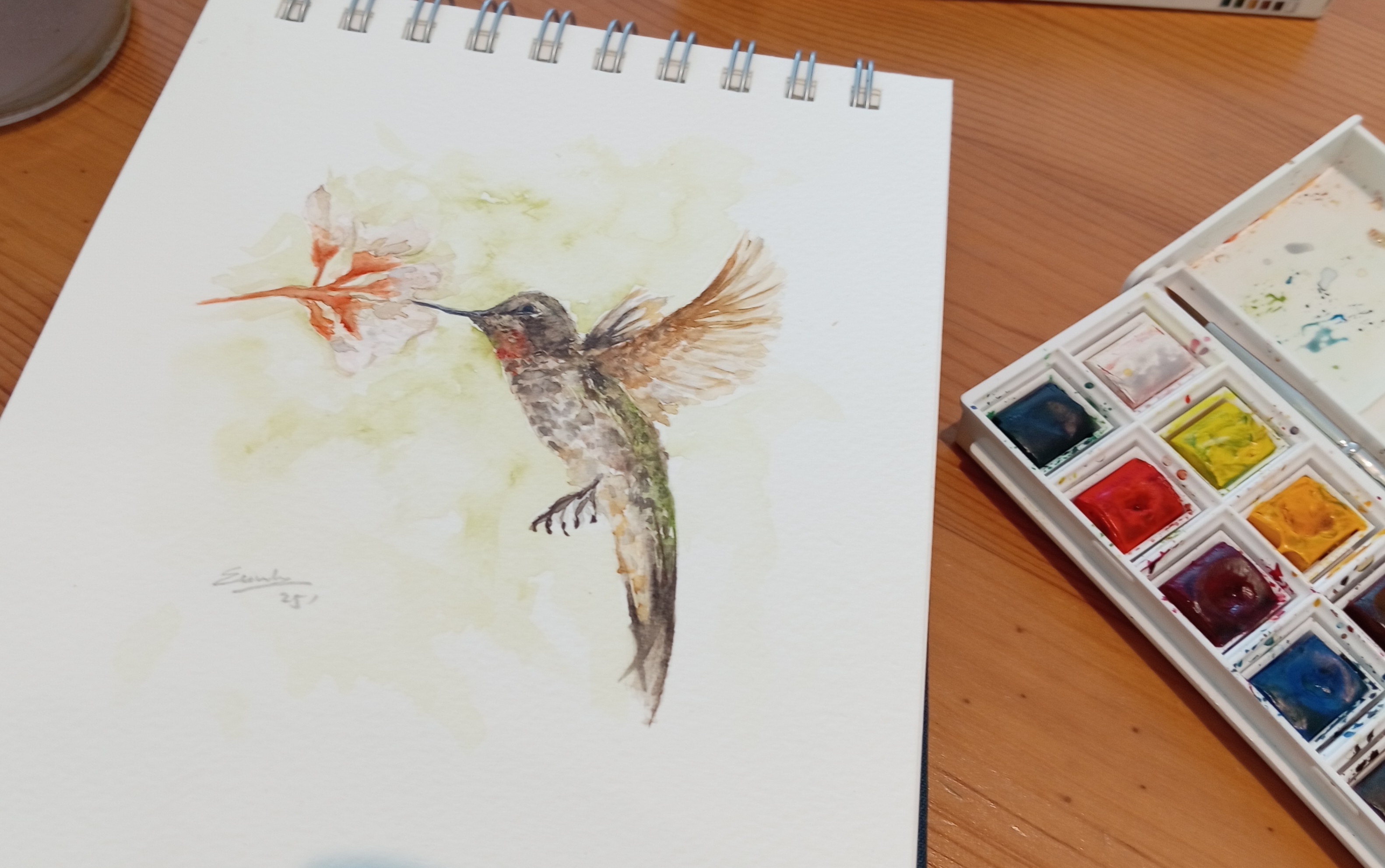 watercolour hummingbird